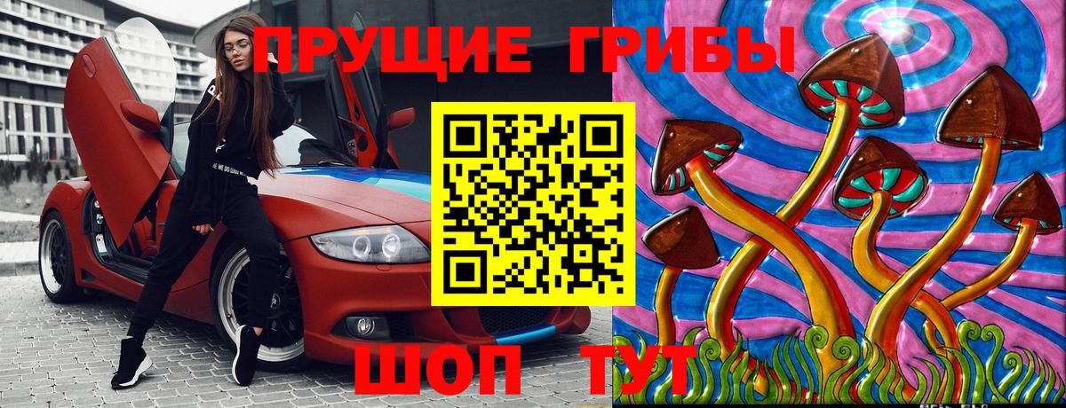 Псилоцибиновые грибы Psilocybine cubensis Печора