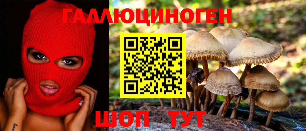 Печора  Псилоцибиновые грибы мицелий  Вход с VPN 